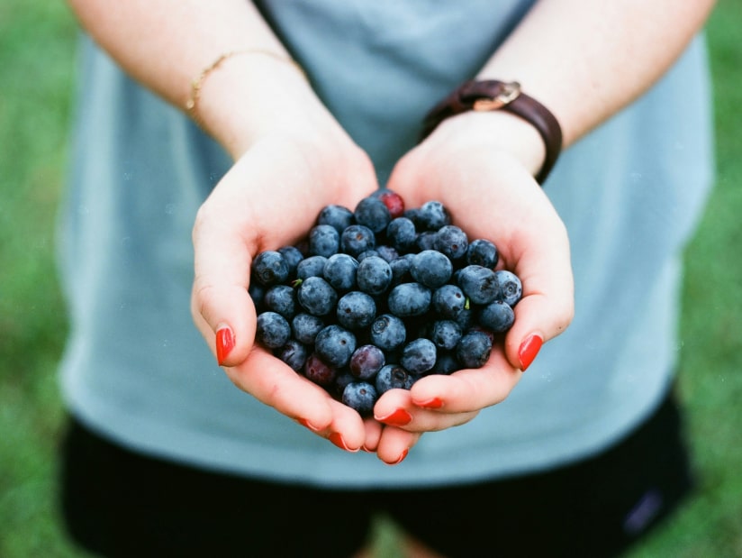 hands full of blueberries