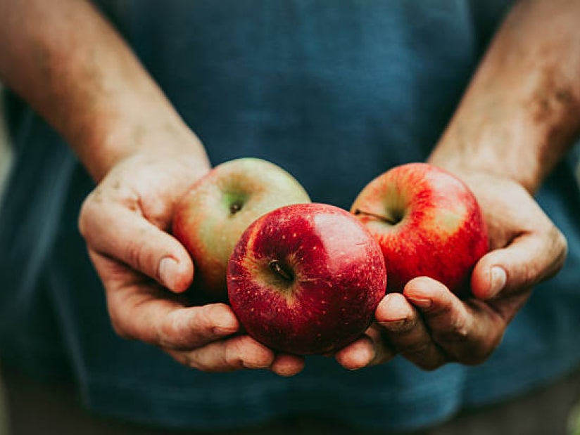 apples in hands