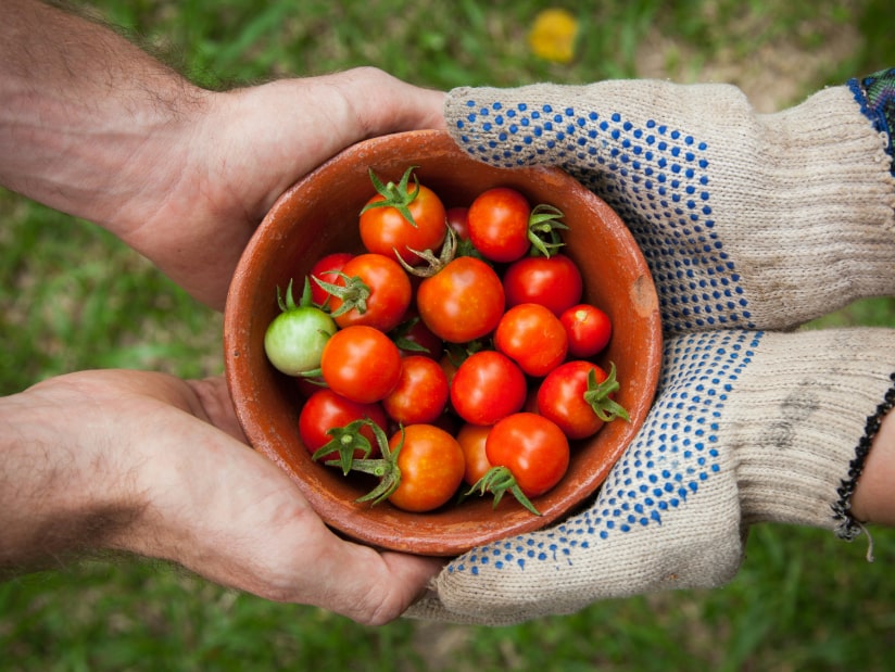 Bowl of cherry tomatoes with 2 people holding the bowl