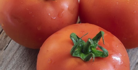 Tomatoes on wooden table