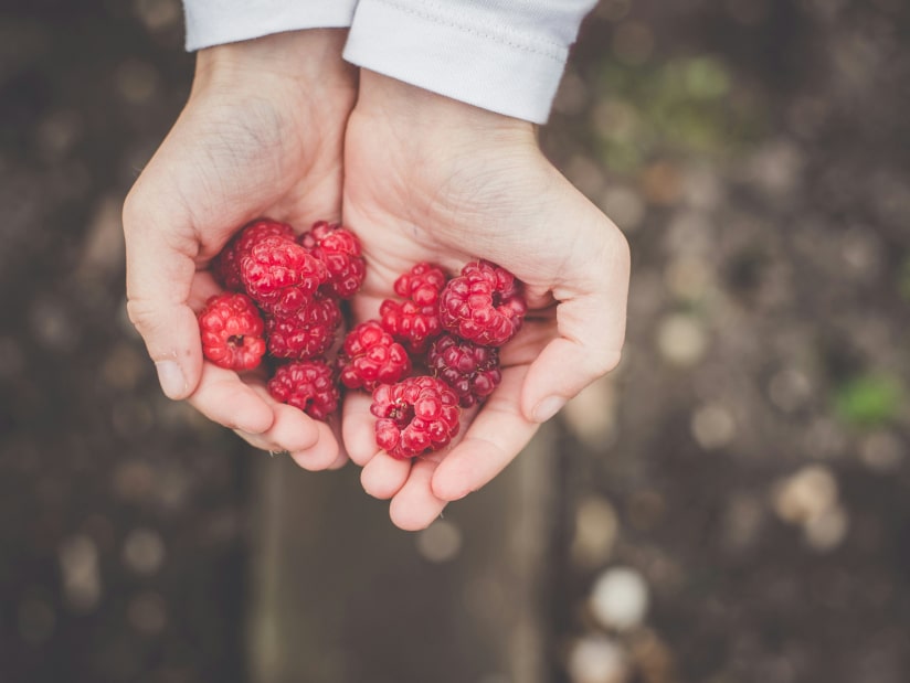 handful of raspberries