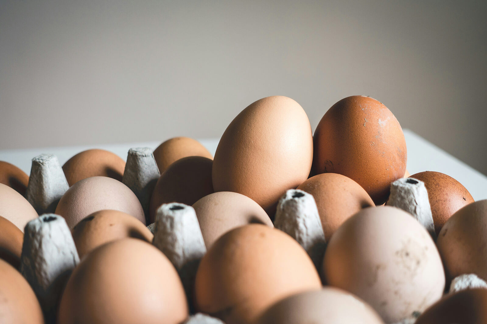 eggs in an egg carton