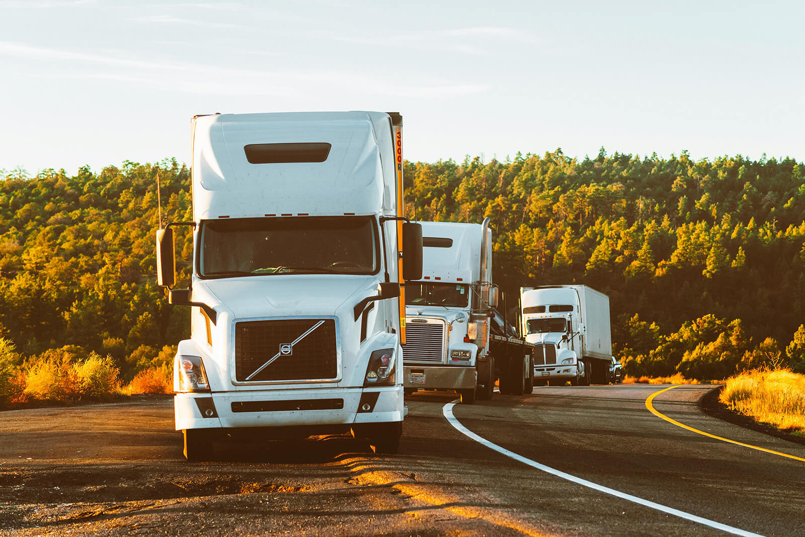 semi trucks driving in highway covered around in trees delierving food